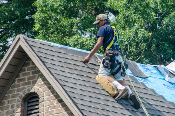 Best Metal Roofing Contractor  in Ames, TX